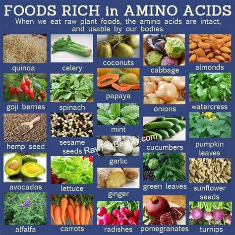 Foods rich in Amino Acids | Nutritious snacks, Amino acids food, Plant food