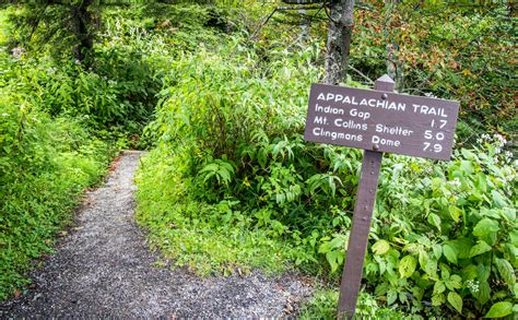 10 Tips for Hiking the Appalachian Trail for Beginners - Southern Trippers