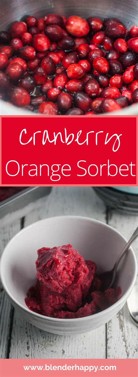 Cranberry Orange Sorbet » Blender Happy