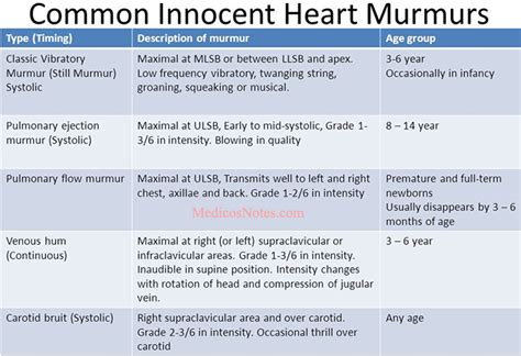 Grade 2 Heart Murmur In Child | Precious Pets