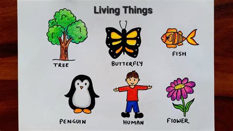 10 Living Things Drawing|10 Non Living Things Drawing|10, 45% OFF