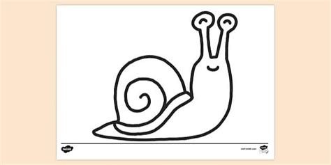 FREE! - Snail Colouring Sheet | Colouring Sheets - Twinkl