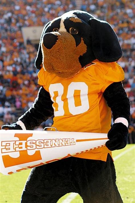 Tennessee Vols costumed mascot - Smokey | University of Tennessee ...