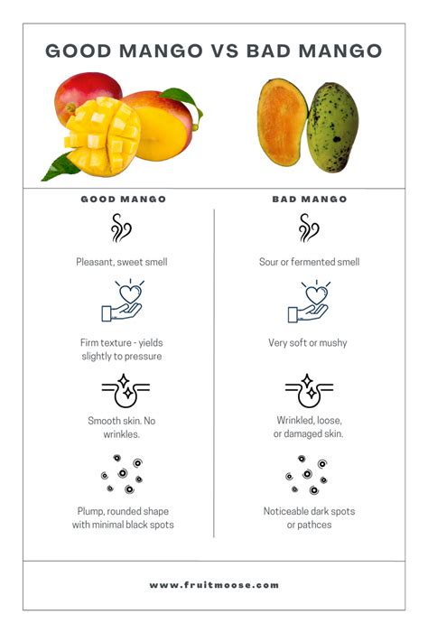 how To Tell If A Mango Is Bad: 6 Unmissable Signs! - Fruit Moose