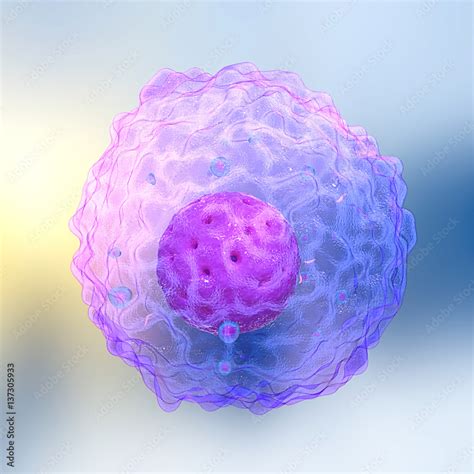 3D render,illustration.Lymphocytes are white blood cells or leucocytes ...