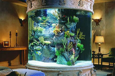 Big Home Aquarium