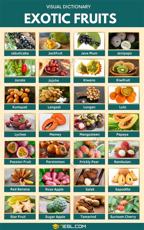 Exotic Fruits Names in English with Pictures • 7ESL