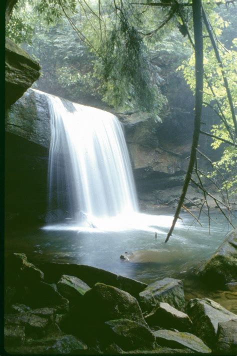 waterfalls in ky | Daniel boone national forest, Kentucky vacation ...