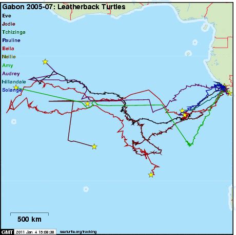 Epic Leatherback Turtle Migration Tracked by Satellite for First Time ...