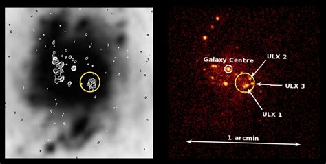 Searching for intermediate-mass black holes in NGC3310 [GA] | arXiver