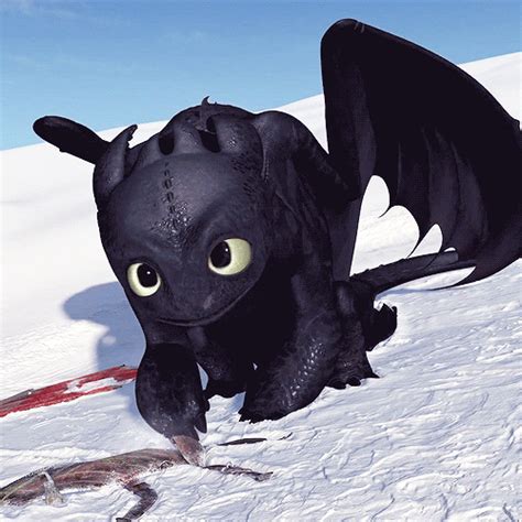 Toothless | how to train your dragon | Pinterest | Toothless, Httyd and ...