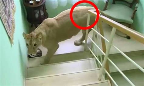 8 Incredible And Shocking Moments Caught On Camera