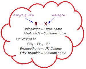 Haloalkanes - Nomenclature, Isomerism, Preparation and Properties.