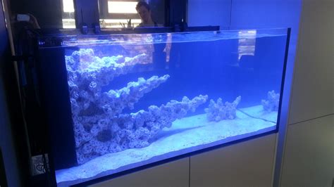 Reef Tank Aquascapes - custom built by R&R Aquascapes, UK Marine ...