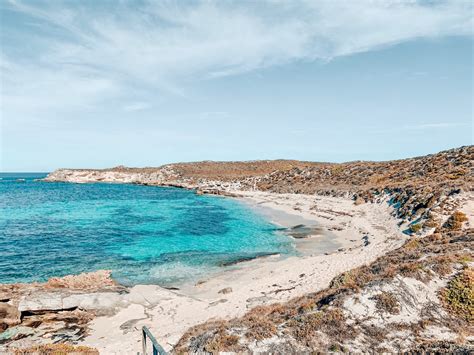 How To Plan The Perfect Day Trip To Rottnest Island From Perth - The ...