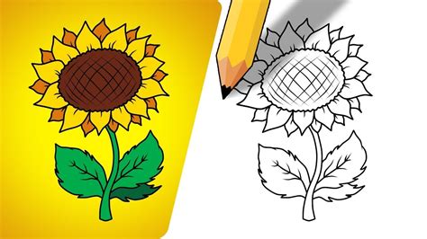 How To Draw A Sunflower For Kids - art-bonkers