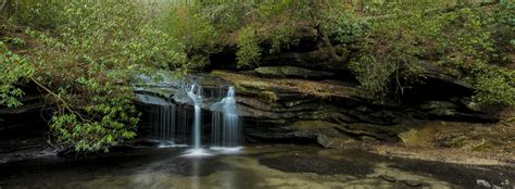 Baker Creek State Park Guide - South Carolina