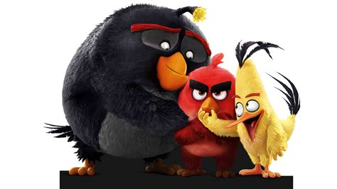 The Angry Birds 8k Wallpaper,HD Movies Wallpapers,4k Wallpapers,Images ...