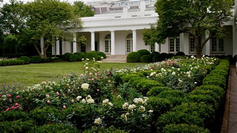 Melania Trump renovates White House Rose Garden ahead of RNC speech