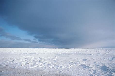 Tundra Biome: Climate, Location, Temperature, Precipitation, Plants and ...