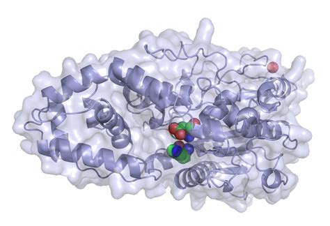 Understanding phytase characteristics to differentiate products - All ...