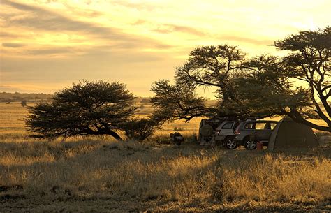 Kgalagadi TP Photos – Images & Pictures