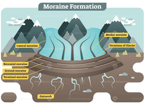 Description: Moraine formation illustrated vector diagram showing ...