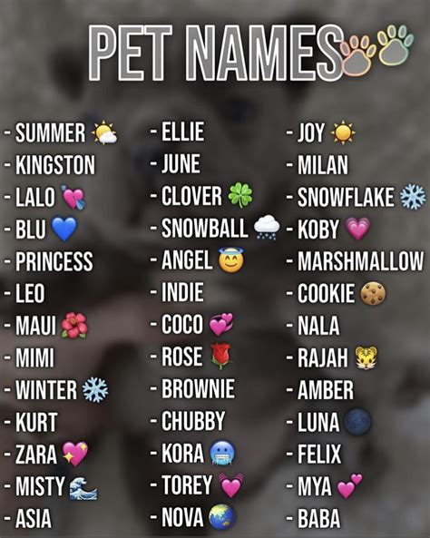 Cute Animal Names For Your Boyfriend - Dogs And Cats Wallpaper