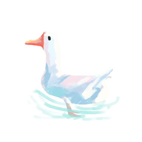 Summer Duck Swimming, Water Ripple, Duck, Animal PNG Transparent ...