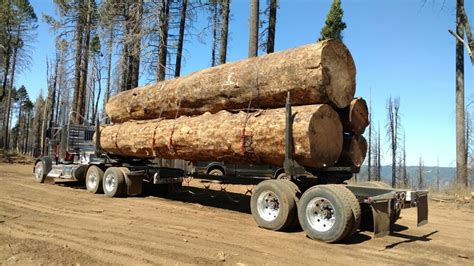 Pin by Ken McLaughlin on Logging Trucks | Big rig trucks, Logging ...