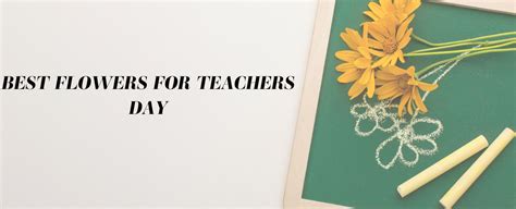 12 Best Flowers for Teacher’s Day | Ode a la Rose