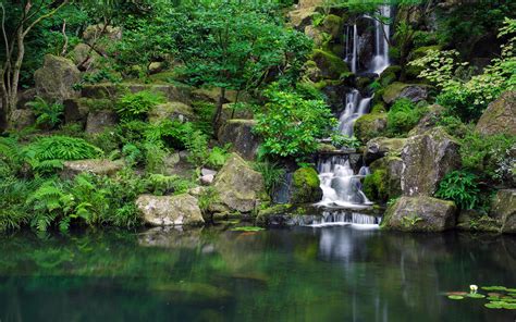 Waterfall Jungle Forest Pond Trees Wallpaper [2880x1800]