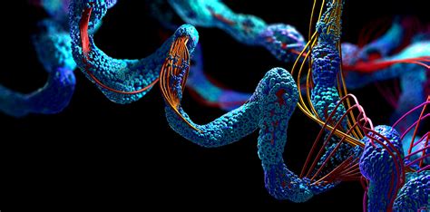 protein folding | Discovery Institute