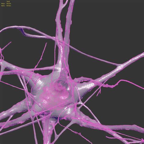 Nerve Cell - 3D Model for VRay