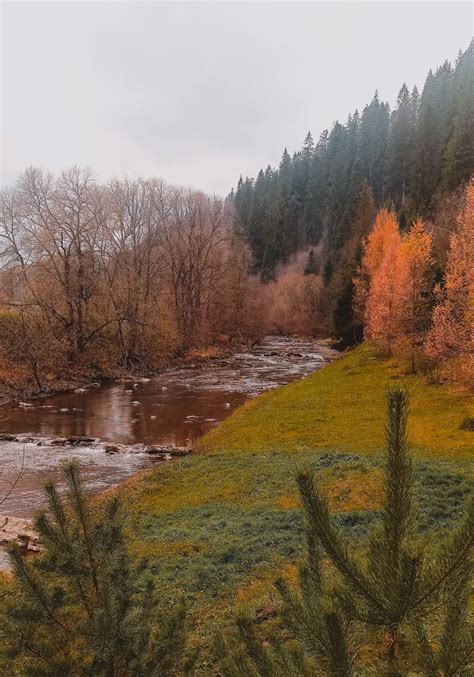 Carpathian mountains | Country roads, Carpathian mountains, River