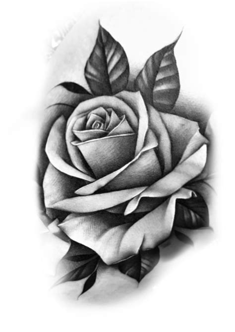 Pin by oscar lujano on leon | Rose drawing tattoo, Realistic rose ...