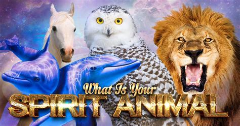 Spirit Animal Quiz – What's My Spirit Animal?