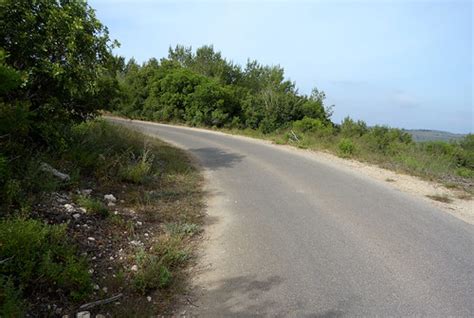 Mount Carmel National Park | A good road for reptiles. In Ha… | Flickr