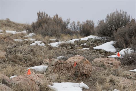 Eagle Mountain creating park to protect, display ancient petroglyph art ...