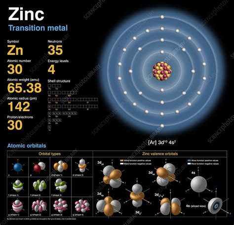 Zinc, atomic structure - Stock Image C018/3711 - Science Photo Library