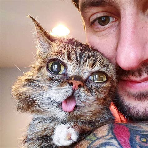 The Owner Of An Internet-Famous Cat Lil Bub Shares A Heartwarming ...