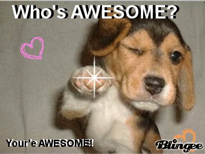 youre awesome Picture #66557973 | Blingee.com