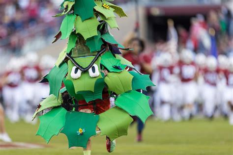 Stanford Tree: Stanford's Unofficial Mascot Explained