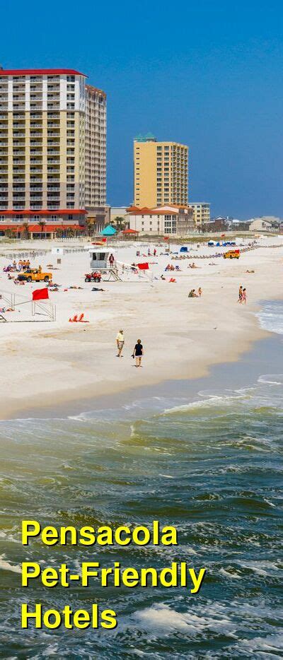 The 10 Best Pet-Friendly Hotels in Pensacola, Florida: Dog-Friendly ...