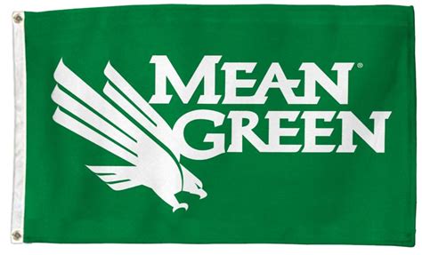 UNT Mean Green Eagle Double Sided House Flag - I AmEricas Flags