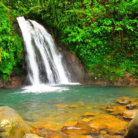 GUADELOUPE NATIONAL PARK (Basse-Terre) - All You Need to Know BEFORE You Go