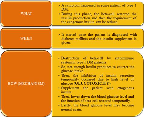 DAWN phenomenon, SOMOGYI effect and HONEYMOON phase ~ DiaBetes MeLLiTus