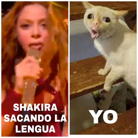 12 memes que nos dejó la lengua de Shakira en el Super Bowl - Erizos