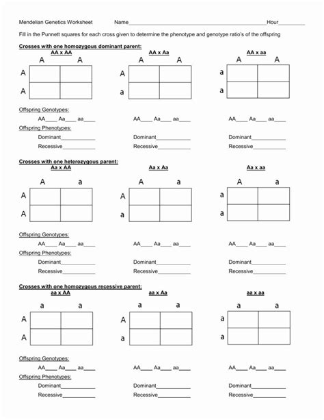 Learn About Mendelian Genetics With These Punnett Square Worksheet ...