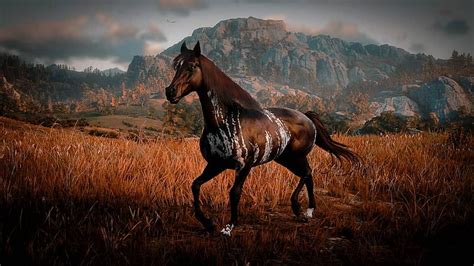 This beautiful Warped Brindle Arabian #rdr #rdr2 #rdrphotography # ...